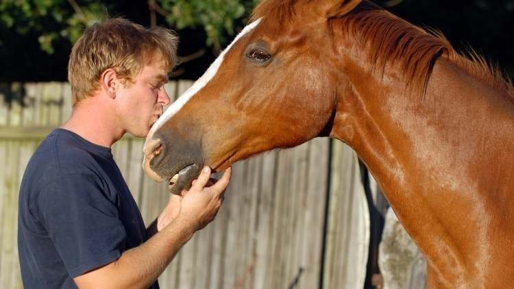 man kissing a horses nose with a bond with animals