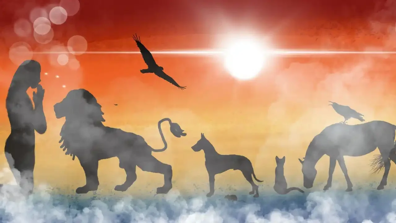 graphic of human and animals at sunset