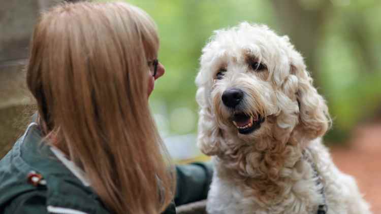 Strengthening Bonds with Telepathic Animal Communication