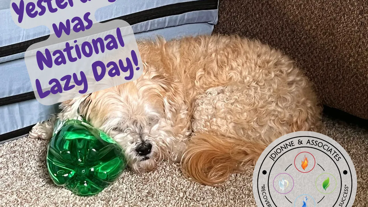 Happy National Lazy Day!