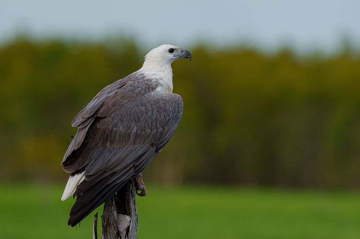 Kakadu & Top End Photography Tour