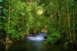 Kakadu & Top End Photography Tour