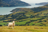 New Zealand Photography Tour