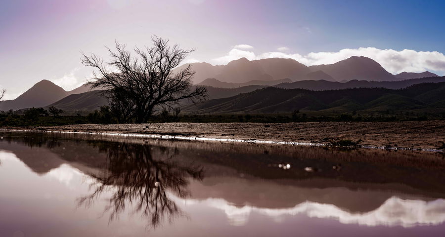 Flinders Ranges Photography Tour