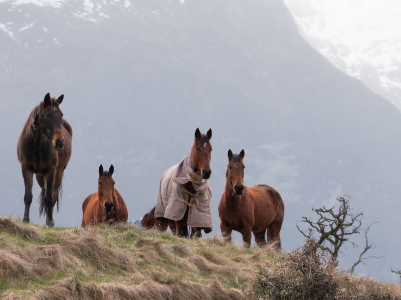 New Zealand Photography Tour