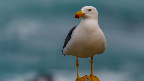 Adventure Photography Masterclass