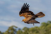 Kangaroo Island Photography Tour