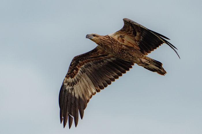 Kakadu & Top End Photography Tour