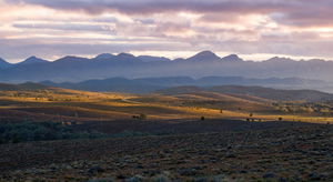 Flinders Ranges Photography Tour