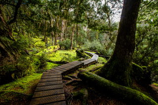 Tasmania Photography Tour