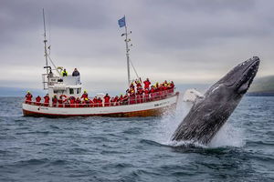 Iceland Ultimate Photography Tour