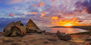 Kangaroo Island Photography Tour