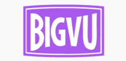 logo bigvu