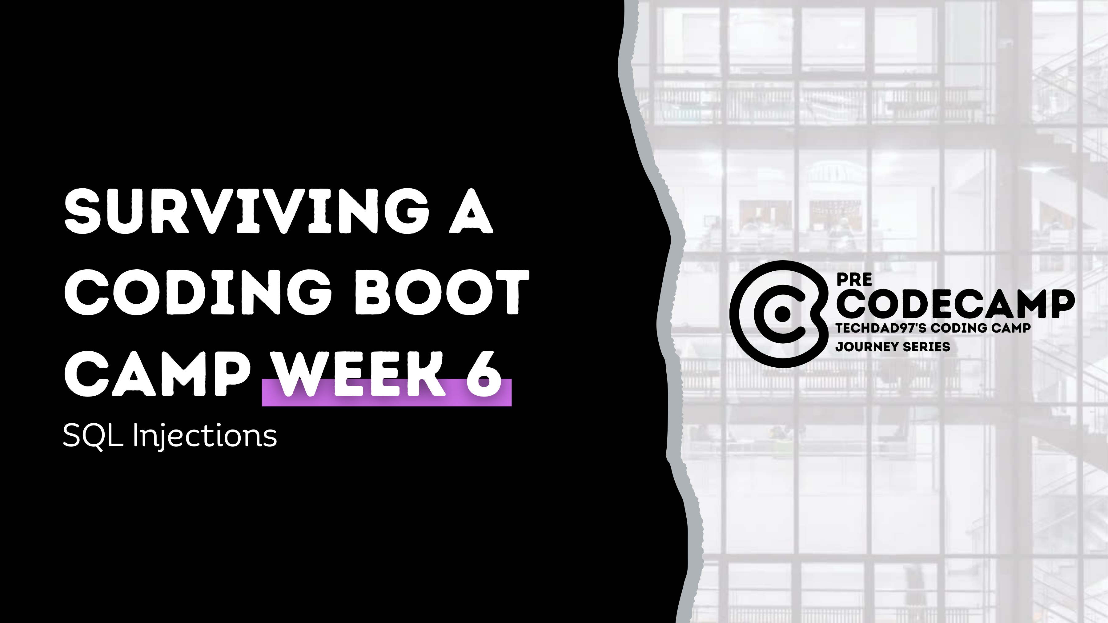 Surviving a Coding Boot Camp Week 6