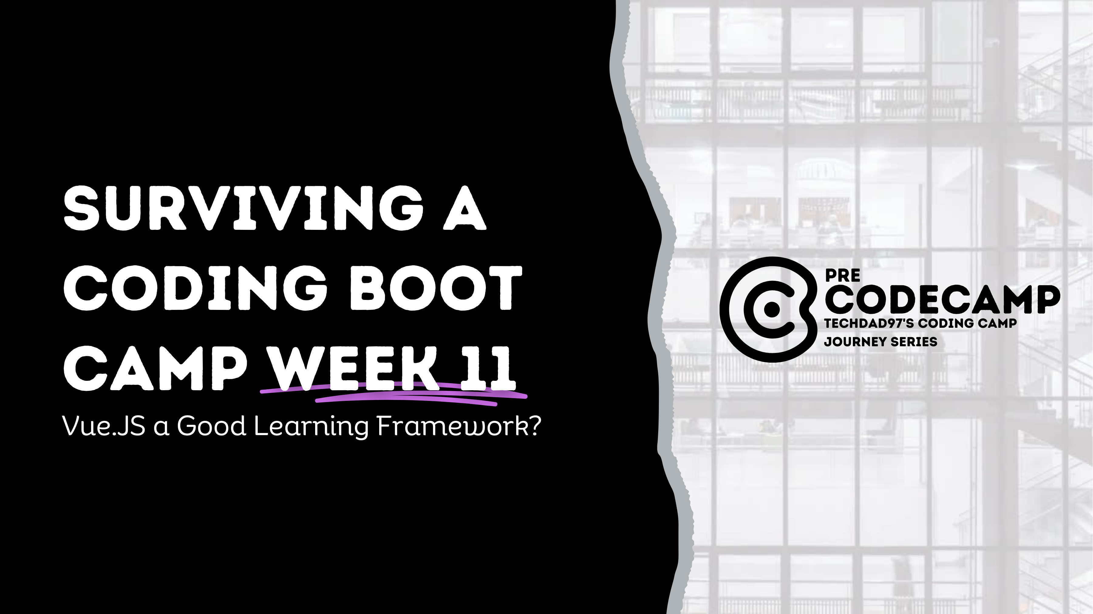 Surviving A Coding Boot Camp Week 11